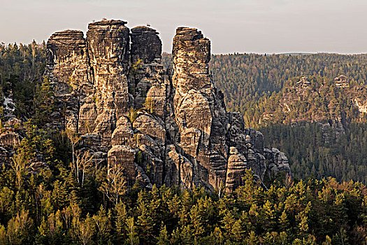 岩石构造,砂岩,山,撒克逊瑞士,国家公园,萨克森,德国,欧洲