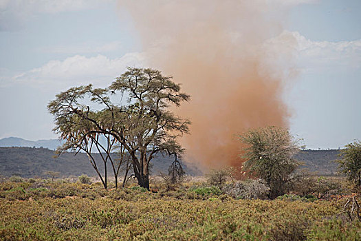 萨布鲁国家公园,肯尼亚,非洲