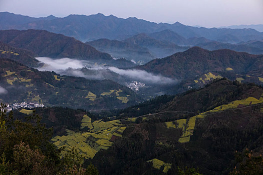 石潭,云海,安徽,山沟,油菜花,风光,壮观,气候,环境,仙境,诱惑,秀美,俯瞰,村庄