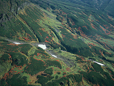 秋叶,山