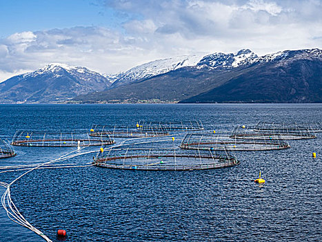养鱼场,三文鱼,水产业,峡湾,挪威
