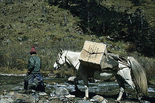 不丹,喜马拉雅山,男孩,商品,上游