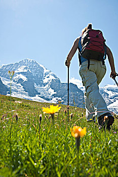 后视图,女人,远足,拐棍,伯恩高地,瑞士