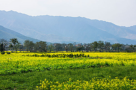 田园春色