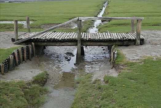 风景,水,北海,岛屿