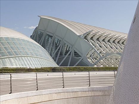 艺术和科学之城,电影院,科学博物馆,边缘,举起,建筑