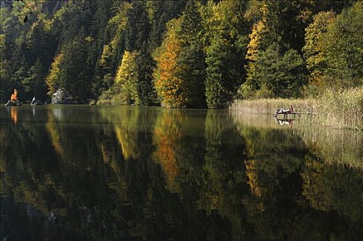 小,山中小湖,树林,奥地利