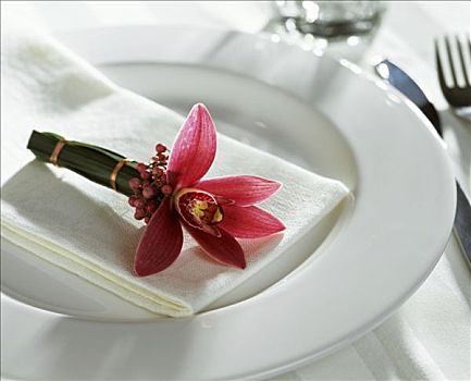 兰花,餐巾装饰