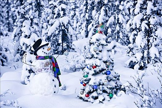 雪人,站立,雪盖,云杉,树林,靠近,装饰,圣诞树,冬天
