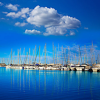 丹尼亚,码头,港口,阿利坎特,西班牙,船,晴朗,蓝色,白天