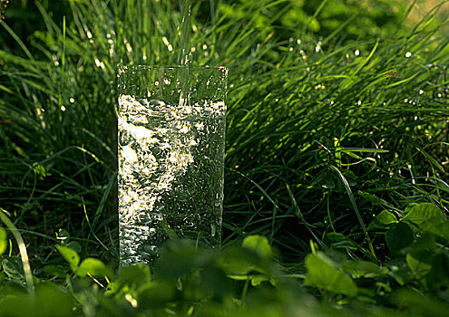 水杯,草丛