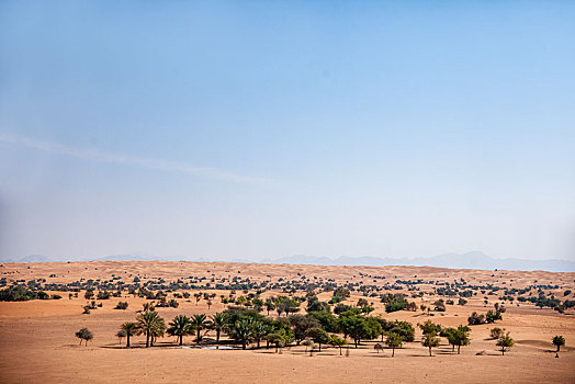 阿玛哈豪华精选沙漠水疗度假酒店远眺沙漠保护区