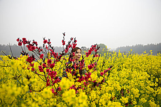 江苏兴化油菜花