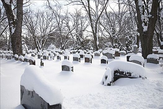 墓石,墓地,遮盖,初雪,多伦多,安大略省,加拿大