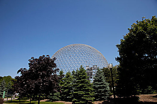 树,博物馆,蒙特利尔,生物圈,魁北克,加拿大
