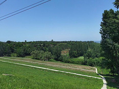 田野,乡村,乡村风光,田园风光,乡村风景,田园风景,自然风光