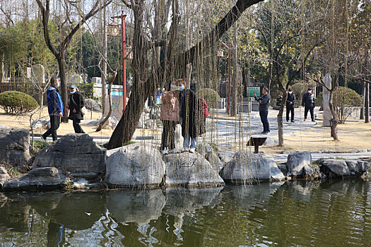 2月27日,在山东省临沂市兰山区王羲之故居,游客在拍花
