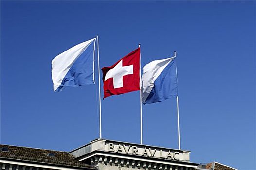 旗帜,瑞士,苏黎世,屋顶,豪华酒店