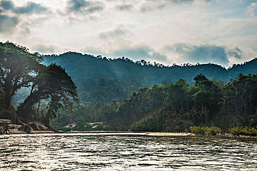 河,雨林,丛林,马来西亚,亚洲