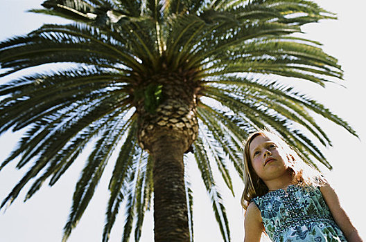 女孩,棕榈树,科斯塔梅萨,加利福尼亚,美国