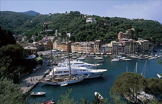船,游艇,帆船,沿岸城镇,海洋,海岸,建筑,波托菲诺,利古里亚,意大利,欧洲
