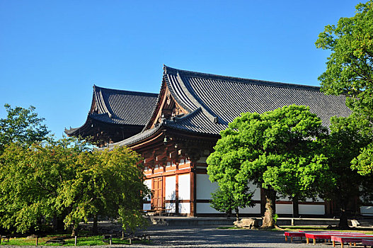日本京都东寺