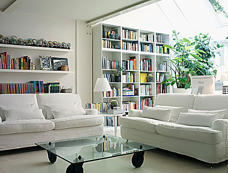 沙发,白色,正面,书架,客厅