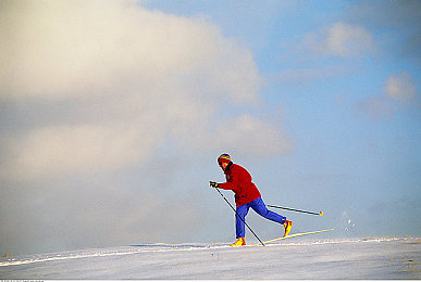 越野滑雪图片