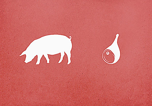 猪,猪肉,红色背景