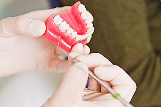 牙医,检查,模型,牙齿