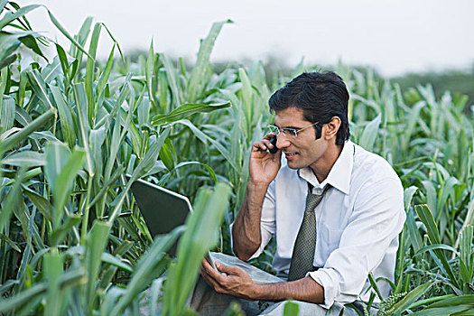 商务人士,手机,笔记本电脑,农场