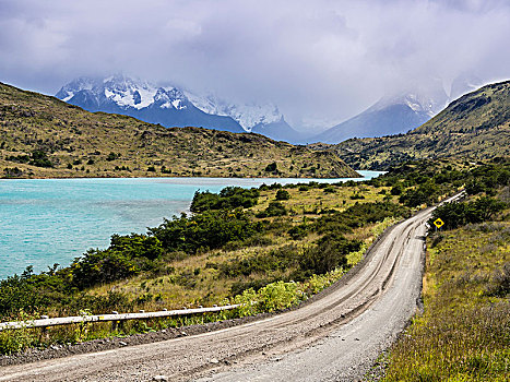 道路,湖,背景,巴塔哥尼亚,智利