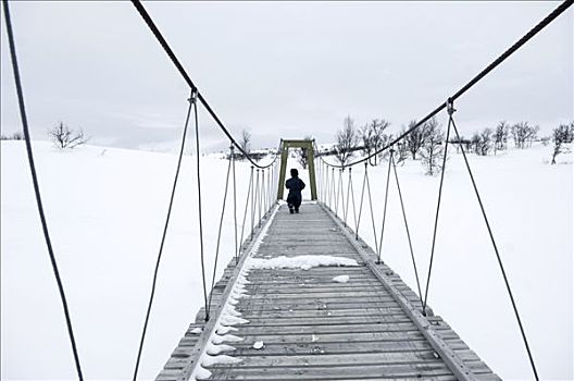 孩子,吊桥,瑞典