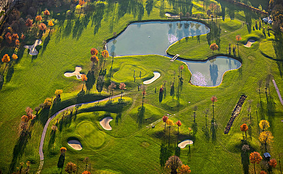高尔夫球杆,绿色,沙障,树篱,鲁尔区,下莱茵,北莱茵威斯特伐利亚,德国,欧洲