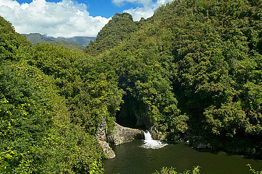 留尼汪岛