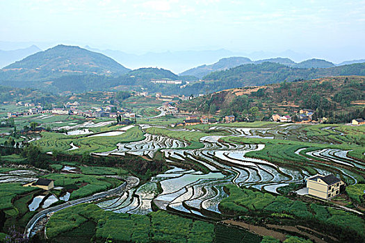 汉阴凤堰古梯田