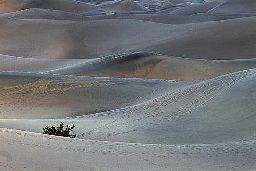 沙丘,沙漠,马斯奎特沙丘,死亡谷国家公园,加利福尼亚,美国