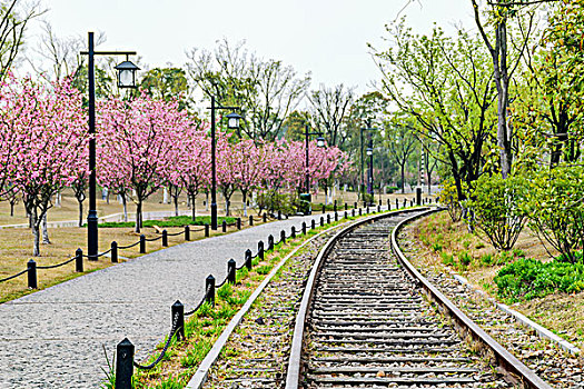 杭州白塔公园春景