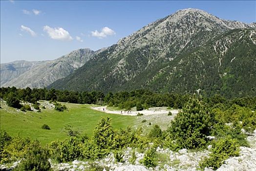 风景,国家公园,阿尔巴尼亚,欧洲