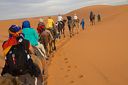非洲,摩洛哥,塔菲拉勒特,梅如卡,却比沙丘,单峰骆驼,骆驼,驼队,旅游,沙漠,柏柏尔人,男人,沙丘,向上,脚,高度