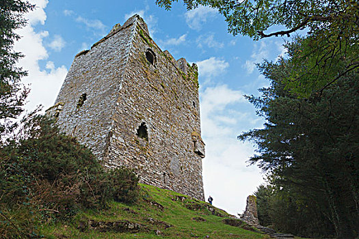 城堡,科克郡,爱尔兰