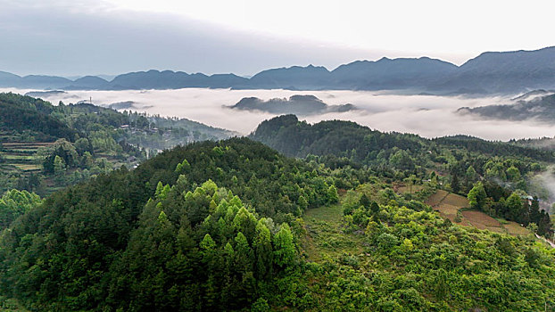 重庆酉阳,雾霾天气青山绿