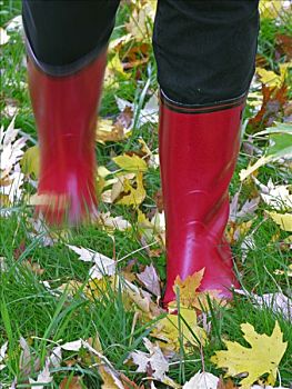 腿,红色,胶靴,草地,色彩,秋叶