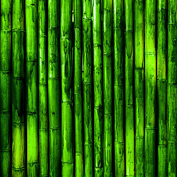 竹子,墙壁,纹理
