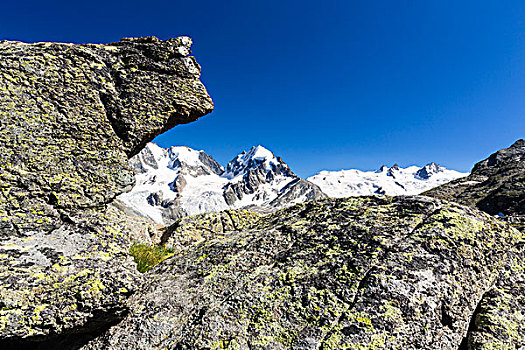 石头,弗奥瑞克拉,背景,恩格达恩,瑞士