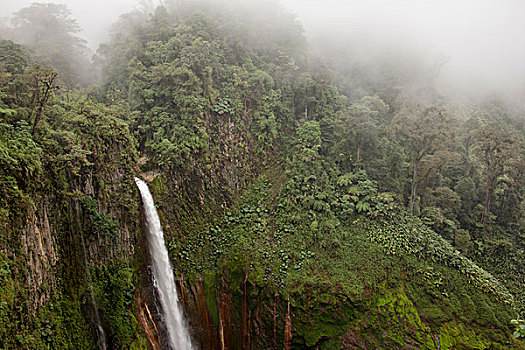 瀑布,雾林,哥斯达黎加