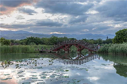 中国云南红河州开远凤凰湿地生态公园风景