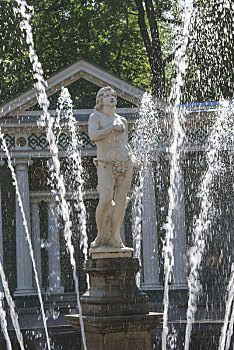 喷泉,雕塑,纪念碑,彼得斯堡,城市,宠物