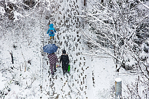 踏雪行