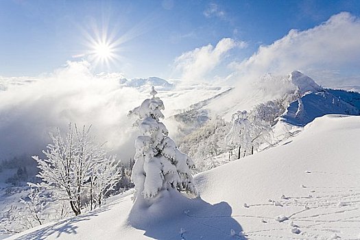 冬季风景,东阿尔卑斯山区,奥地利